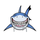 The Shark Shop